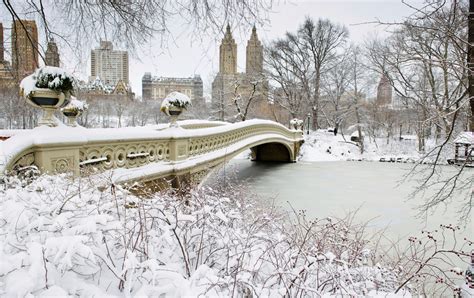 Winter in the Park 